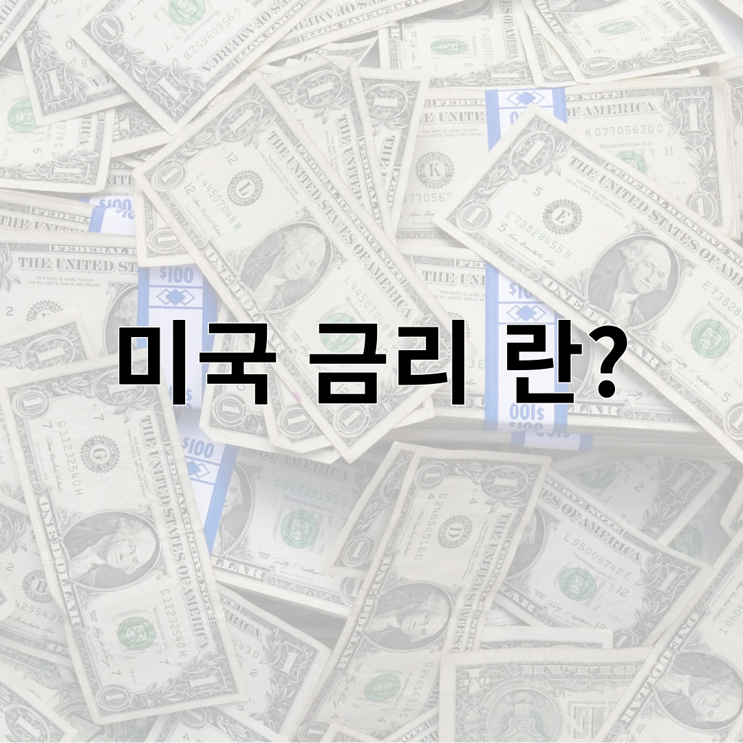 미국 금리 란?