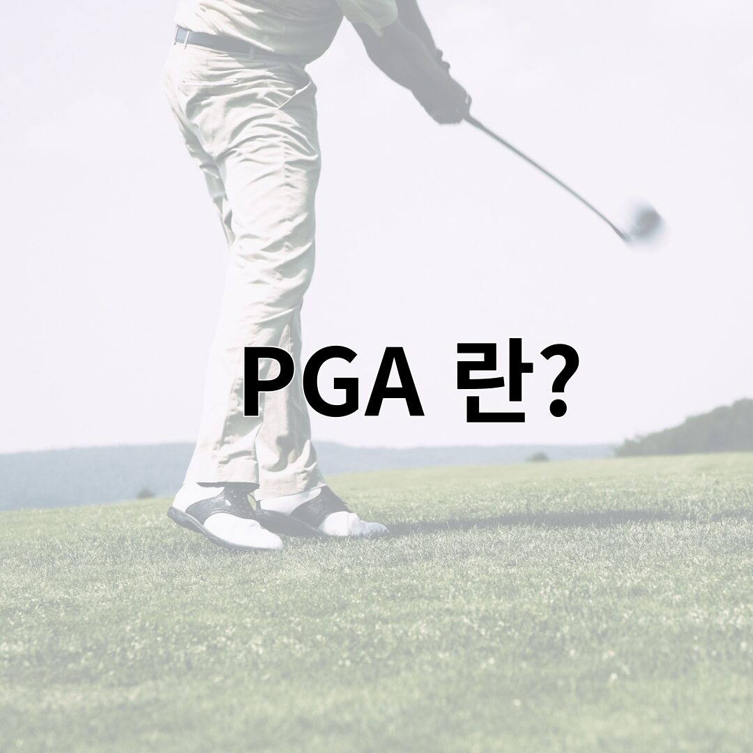 PGA 란?