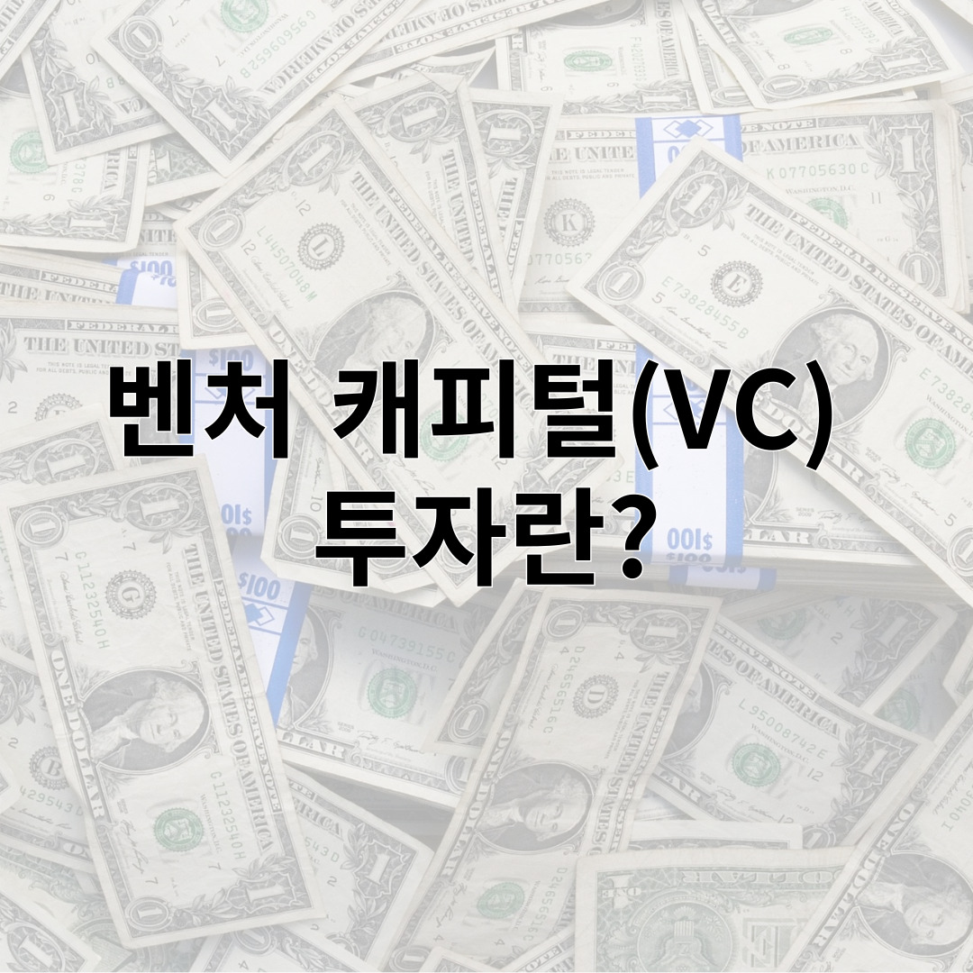 벤처 캐피털(VC)  투자란?