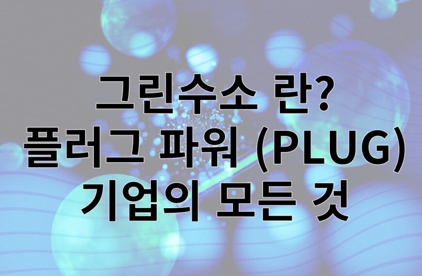 플러그 파워