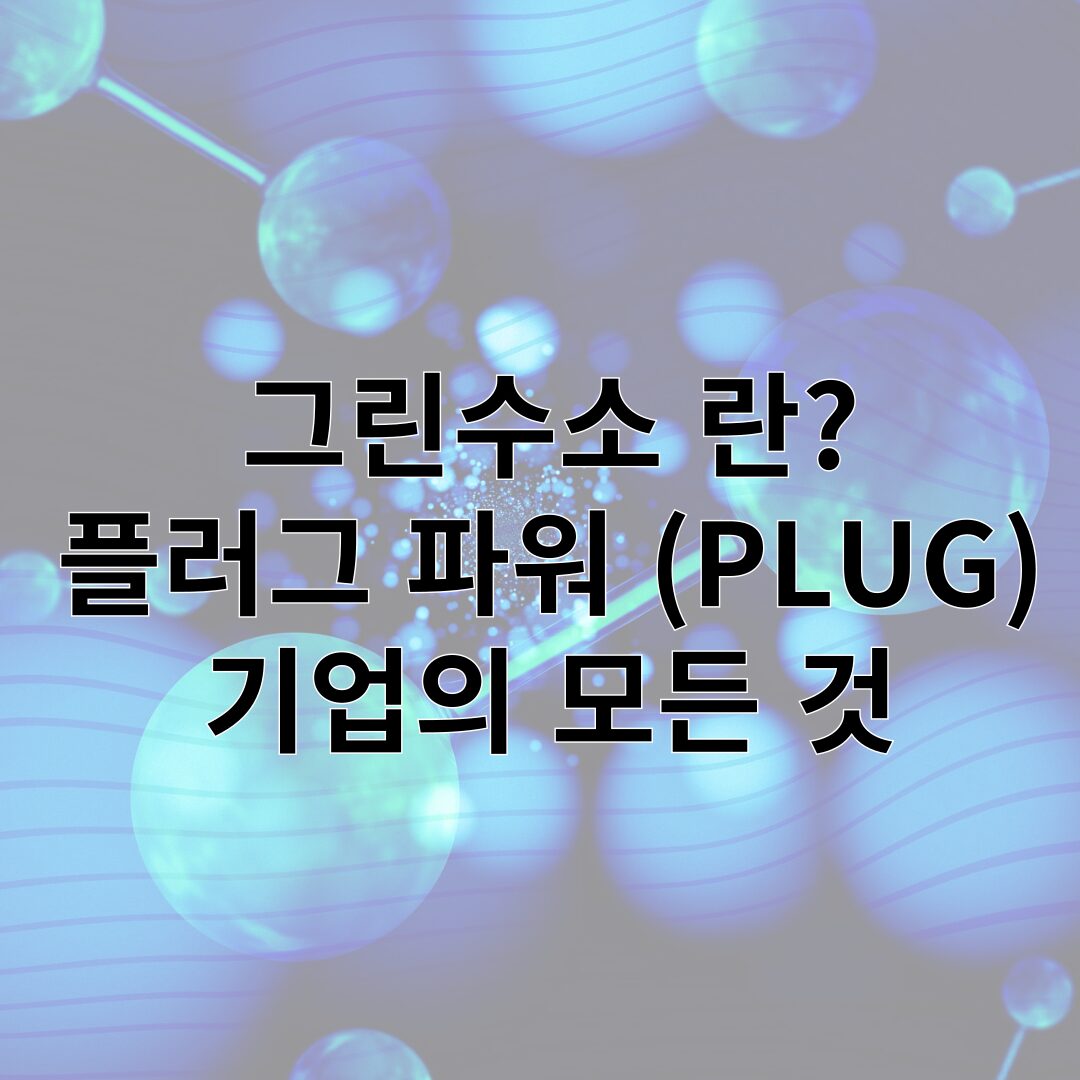 플러그 파워