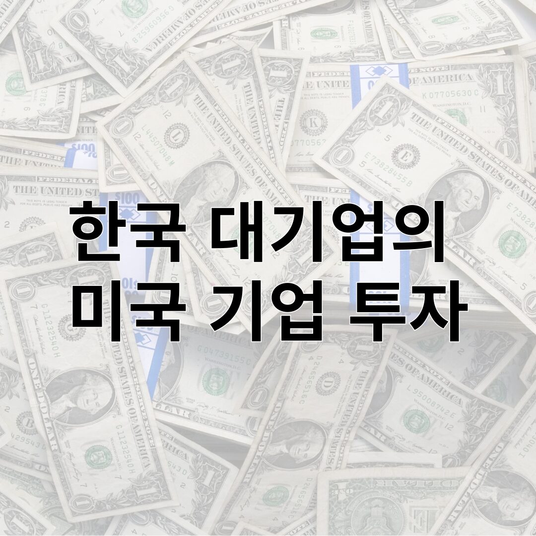 한국 대기업의  미국 기업 투자