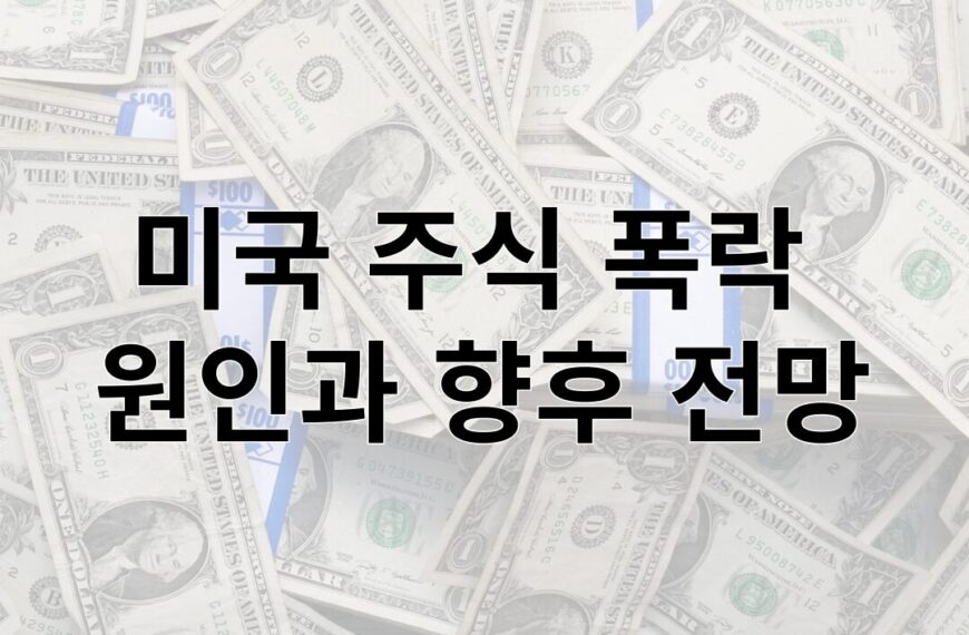 미국 주식 폭락  원인과 향후 전망